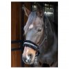  Kantar Lyrics Quotes - Harry's Horse